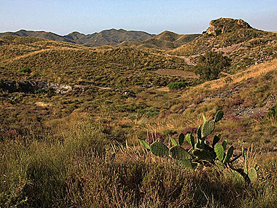 Sierra de los Pinos
